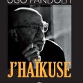 Couv 1ere j haikuse